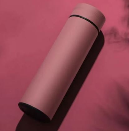 SmartTemp LED Water Flask